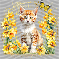 Animal Integration-DW 273